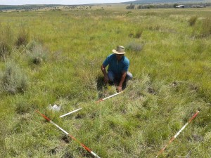 Reference site, Potchefstroom, South Africa