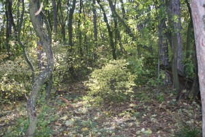 Remnant site, Budapest, Hungary